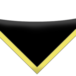 Cannock Chase District Neckerchief